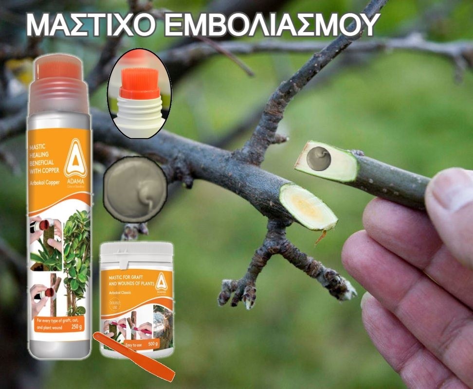 Tree Mastic Tube with Brush - 250GR