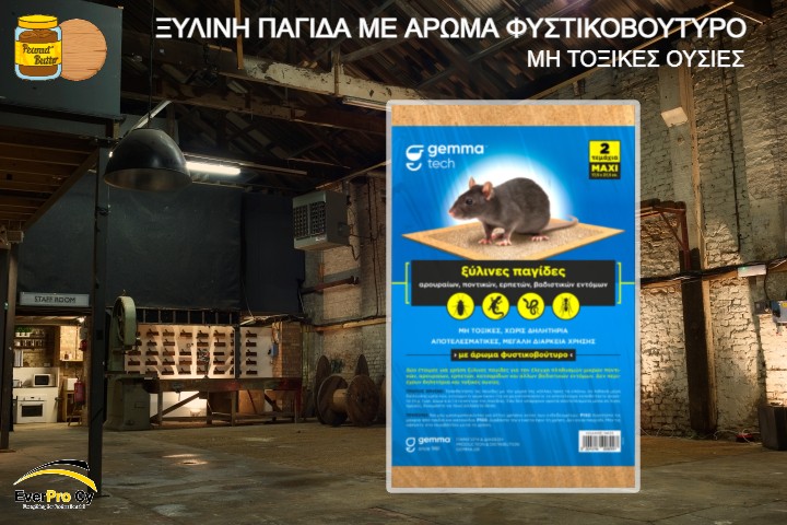 Μη τοξικές ξύλινες παγίδες - 2pcs